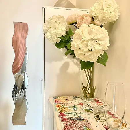 아피타카메레 루루크 폴리나노 아마레